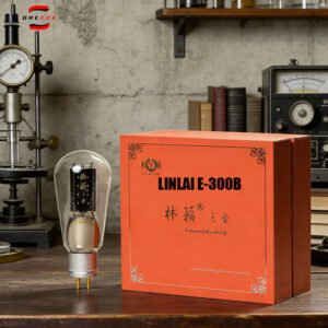 1001 LINLAI E-300B Vacuum tube