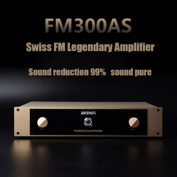 The entire BRZHIFI FM300A series