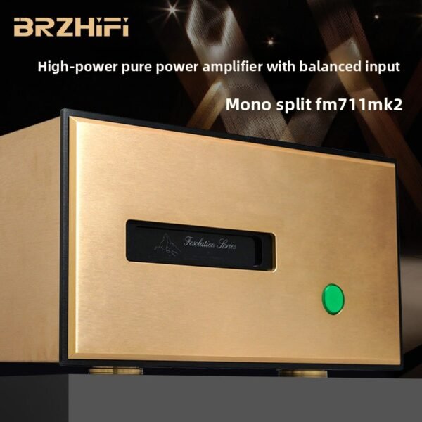 1002 BRZHIFI Reprint Swiss Famous Machine FM711MK2 Pure Rear Series