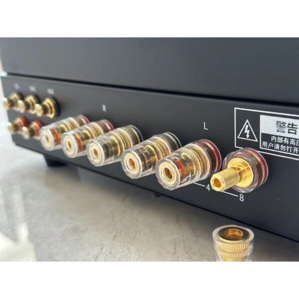 Lao Chen bile machine kt88-k3 high-power push-pull bile machine