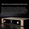 The entire BRZHIFI FM300A series