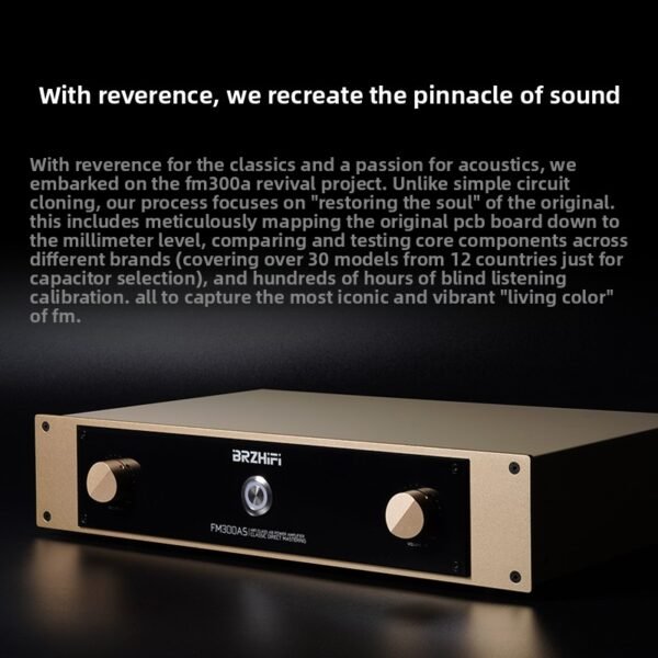 The entire BRZHIFI FM300A series