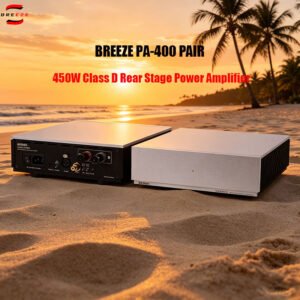 BRZHIFI PA400 Mono Class D Power Amplifier HiFi Ultimate Amplifier 450W purifi HYPEX
