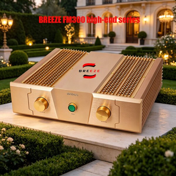 The entire BRZHIFI FM300A series