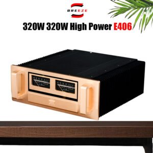 MUSMYS E-406 HIFI High Power Fever Imported German FET pk Golden Throat Post-Stage Power Amplifier