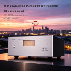 101 BERLASSE 2027 New Upgrade TS-15 Home Fever Mono Pure Rear Stage Power Amplifier HIFI High Power 250W MONO Rear Stage
