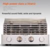 Berlasse fever 300B push 805 electronic tube power amplifier gallbladder machine single-ended class a 35W × 2 high-power home audio