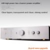 BERLASSE TS-2 HiFi High Fidelity High Power Amplifier Fever 2.0 Home Bluetooth Remote Control Imported Components Newly Upgraded