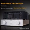 Berlasse FU29 bile machine fever electronic tube power amplifier push-pull bile machine manual shed HIFI home 30W 30W
