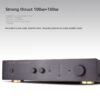 BERLASSE TS-1B Front and Rear Stage Amplifier HIFI Stereo Dual Channel High Power Home High Fidelity Dual Loop Bull Amplifier with Remote Control