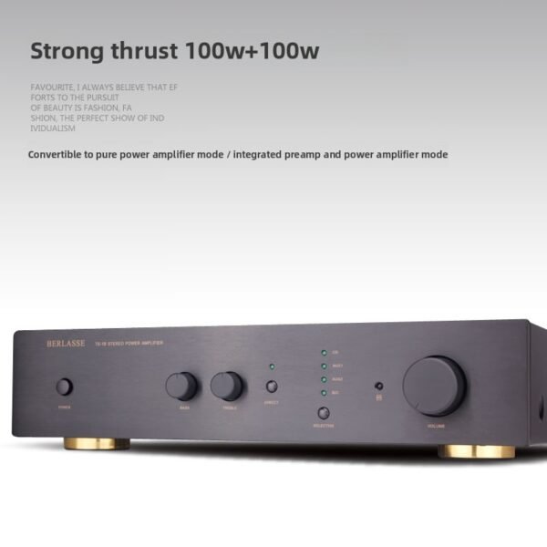 BERLASSE TS-1B Front and Rear Stage Amplifier HIFI Stereo Dual Channel High Power Home High Fidelity Dual Loop Bull Amplifier with Remote Control