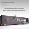 BERLASSE TS-2 HiFi High Fidelity High Power Amplifier Fever 2.0 Home Bluetooth Remote Control Imported Components Newly Upgraded